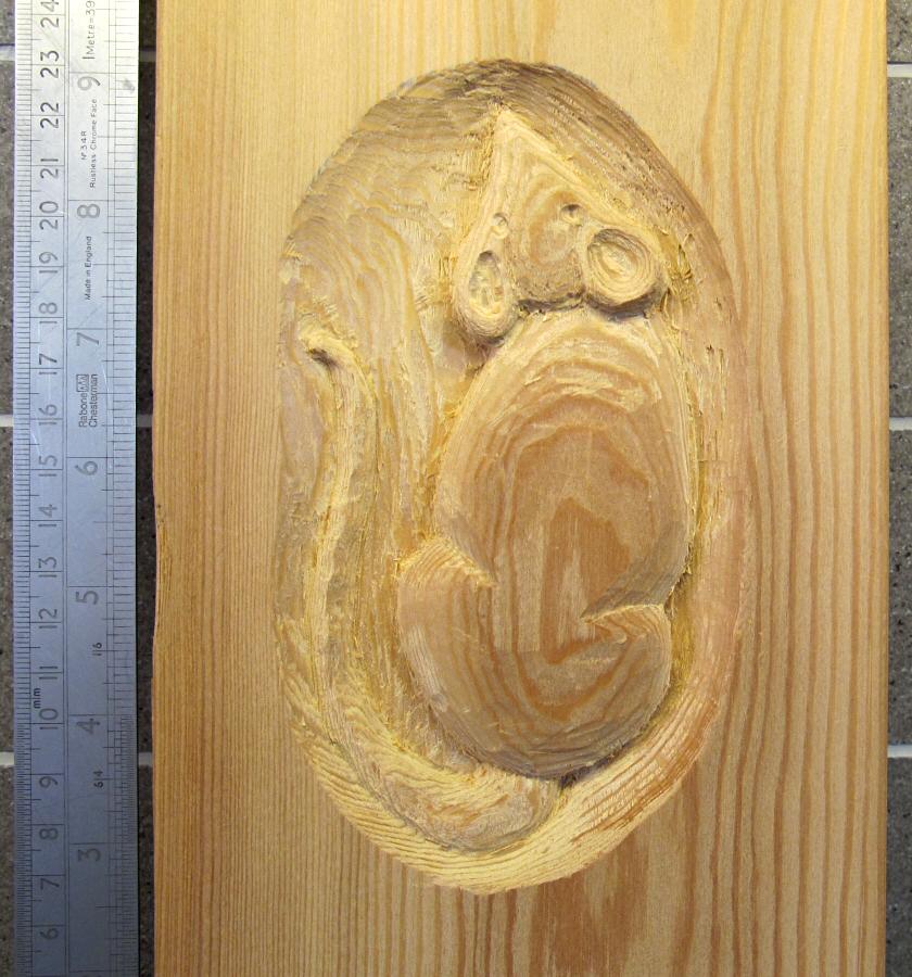 mouse carving